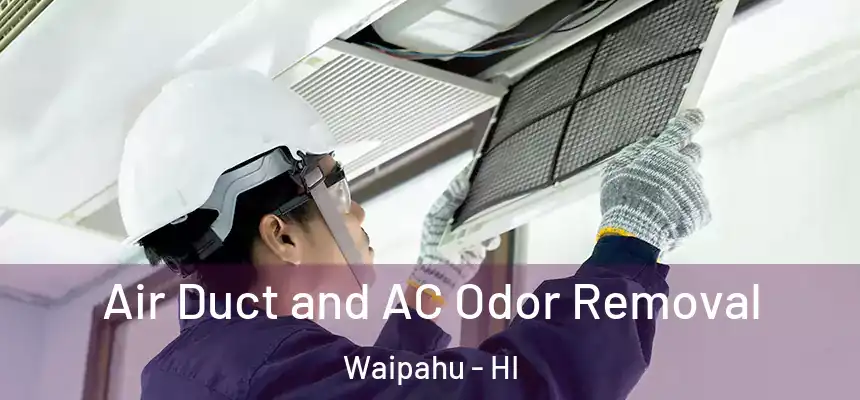  Air Duct and AC Odor Removal Waipahu - HI