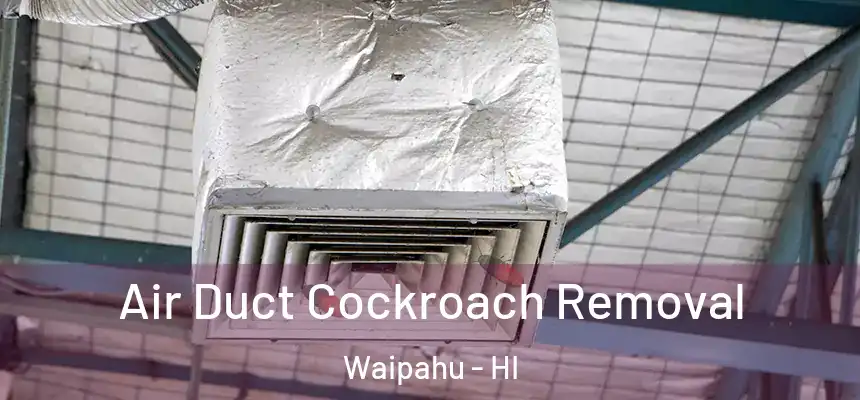  Air Duct Cockroach Removal Waipahu - HI