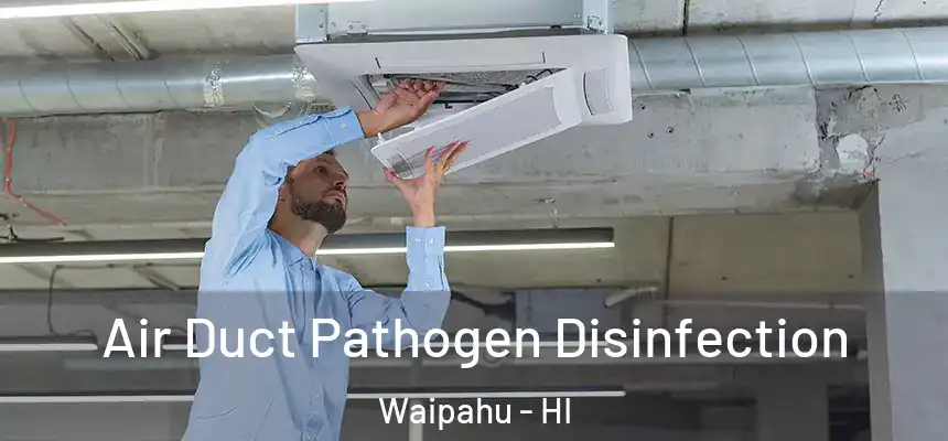  Air Duct Pathogen Disinfection Waipahu - HI