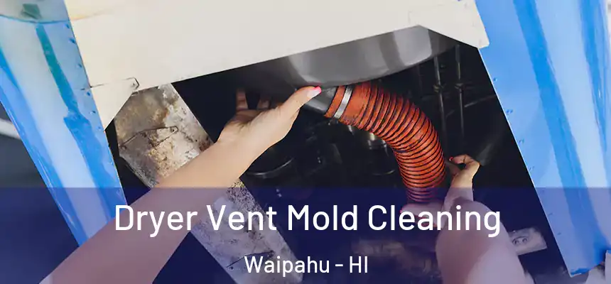  Dryer Vent Mold Cleaning Waipahu - HI