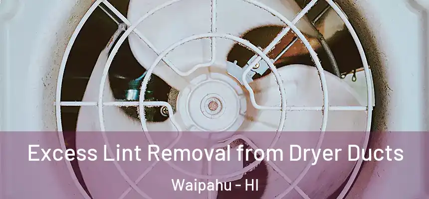  Excess Lint Removal from Dryer Ducts Waipahu - HI
