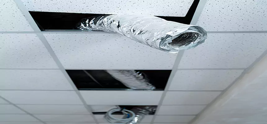 Affordable HVAC Sanitizing After Pest Removal in Waipahu