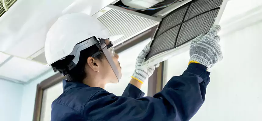 Our Mold & Mildew Removal from Air Ducts Services in Waipahu, HI