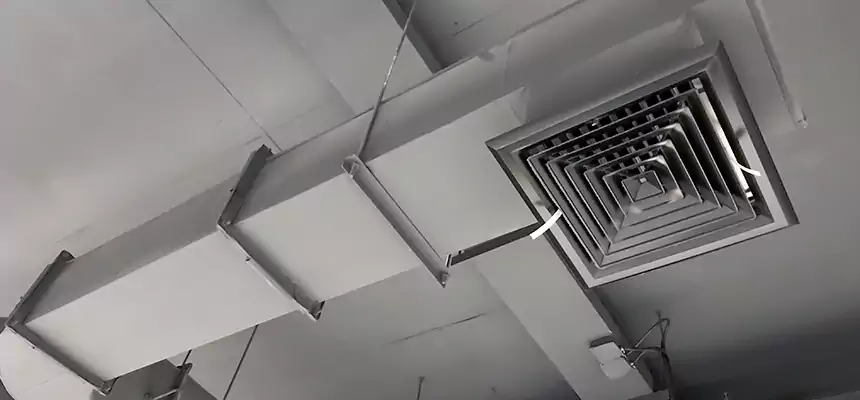 Our Pest Removal From Ducts Services in Waipahu, HI