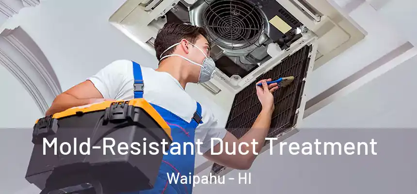 Mold-Resistant Duct Treatment Waipahu - HI