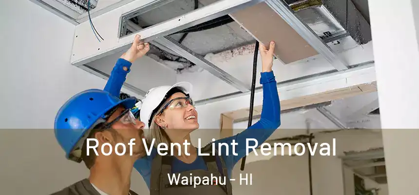 Roof Vent Lint Removal Waipahu - HI