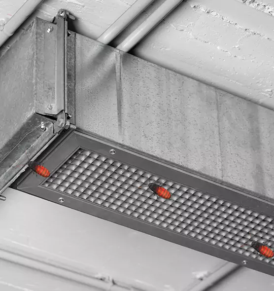 About Air Duct Cockroach Removal in Waipahu, HI