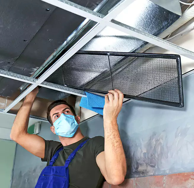 Why Homeowners Businesses Trust Us in Waipahu, HI