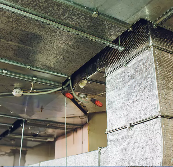 Why Homeowners & Businesses Trust Us Waipahu, HI?