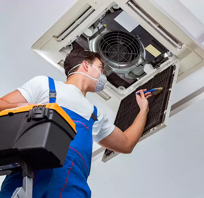 Why Homeowners & Businesses Trust Us in Waipahu, HI?